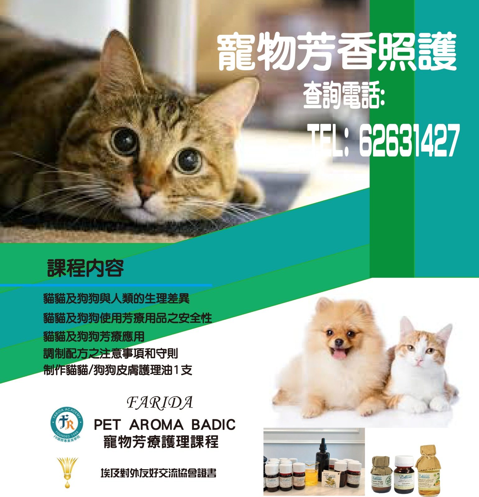 2023貓奴日