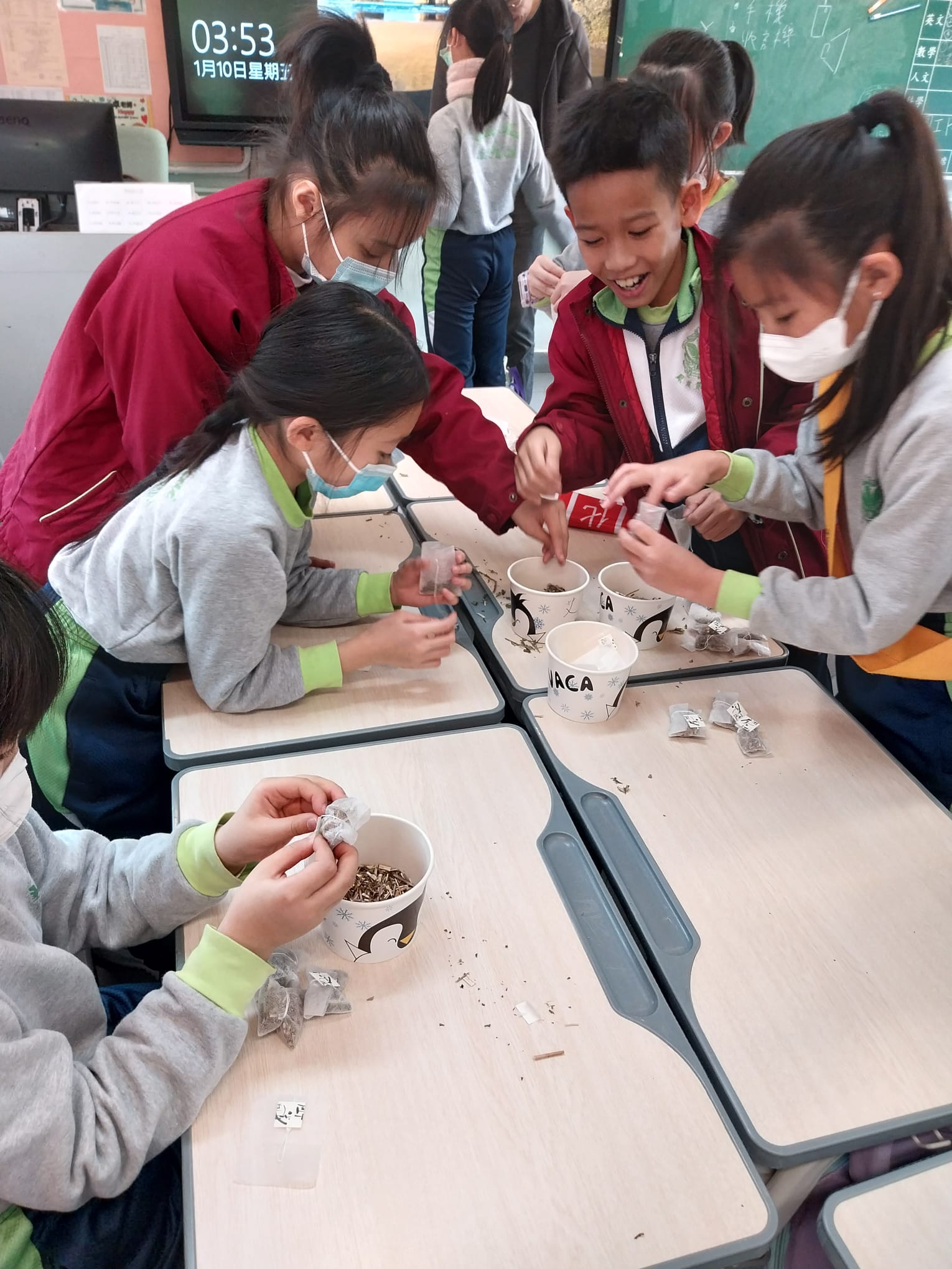 2024-25走入校園中草藥園教學 — 活動相片
