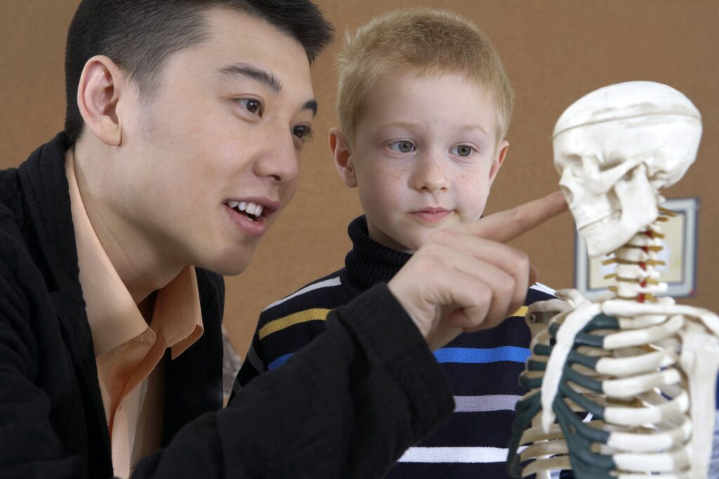 Teacher And Student Looking At Skeleton